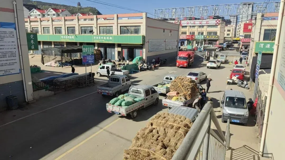 2026年4月17日渭源中药材市场快讯