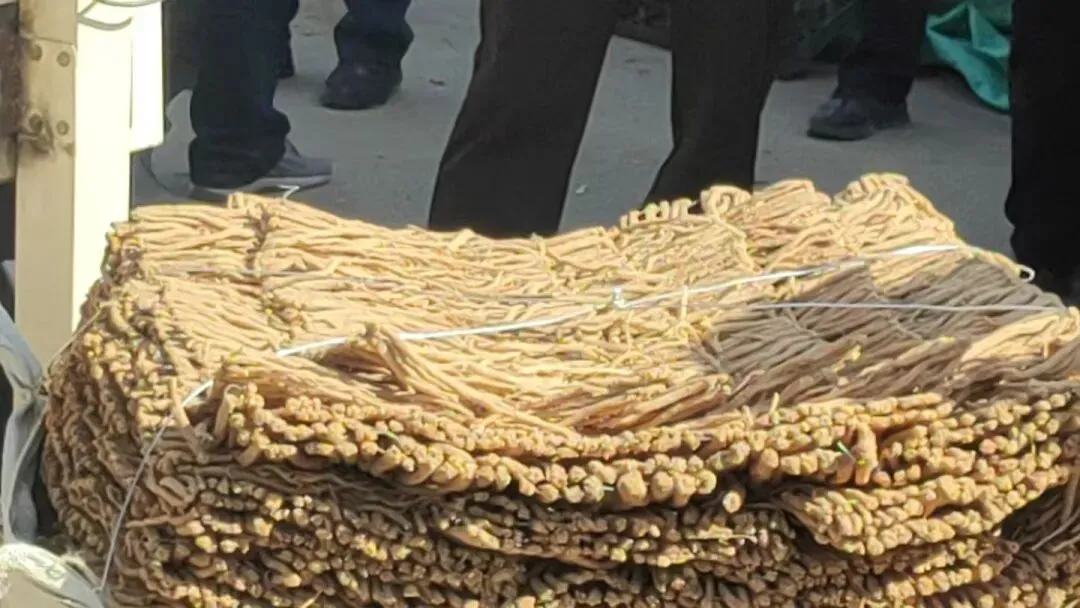 2026年4月17日渭源中药材市场快讯