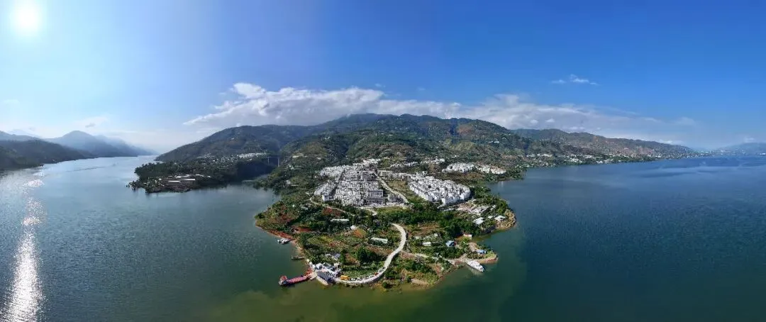 金沙江畔蕉香急盼,大崇市场诚邀客来——白鹤滩搬迁后,万亩蕉园待收购