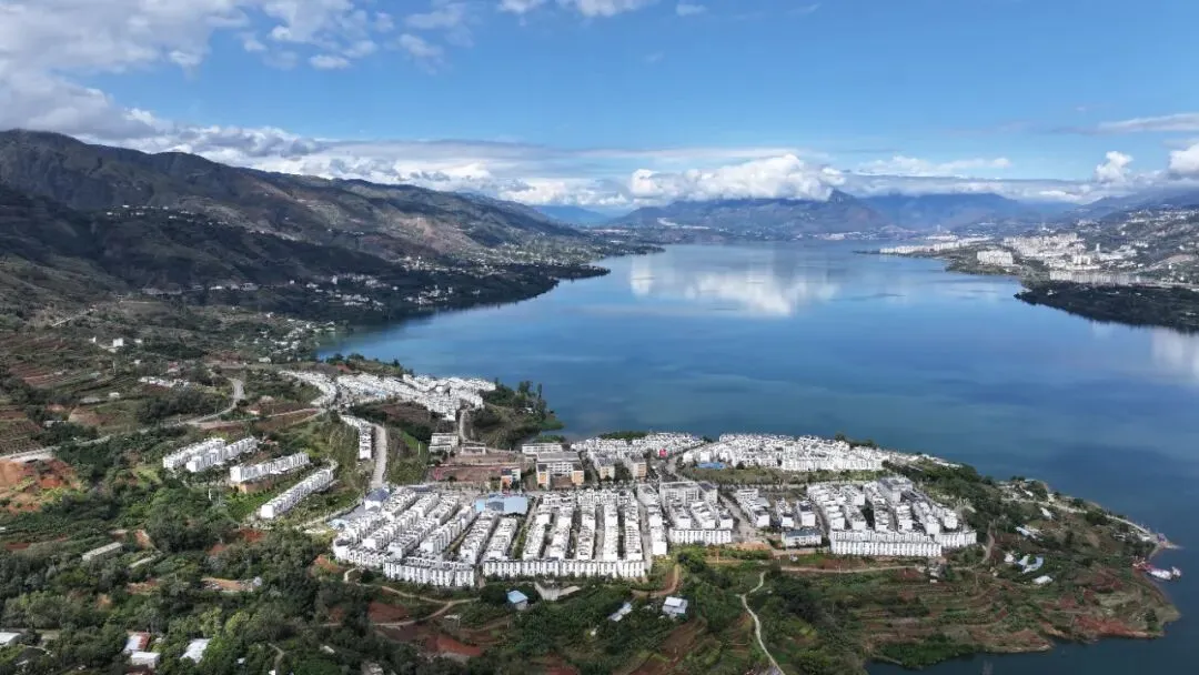 金沙江畔蕉香急盼,大崇市场诚邀客来——白鹤滩搬迁后,万亩蕉园待收购
