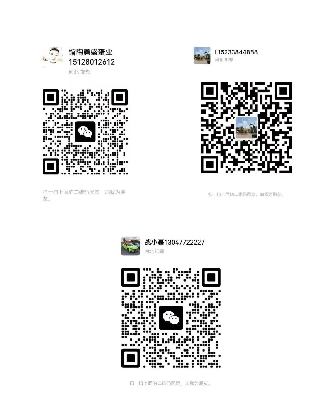 2026年4月18日馆陶金凤市场价格播报(勇盛蛋业)