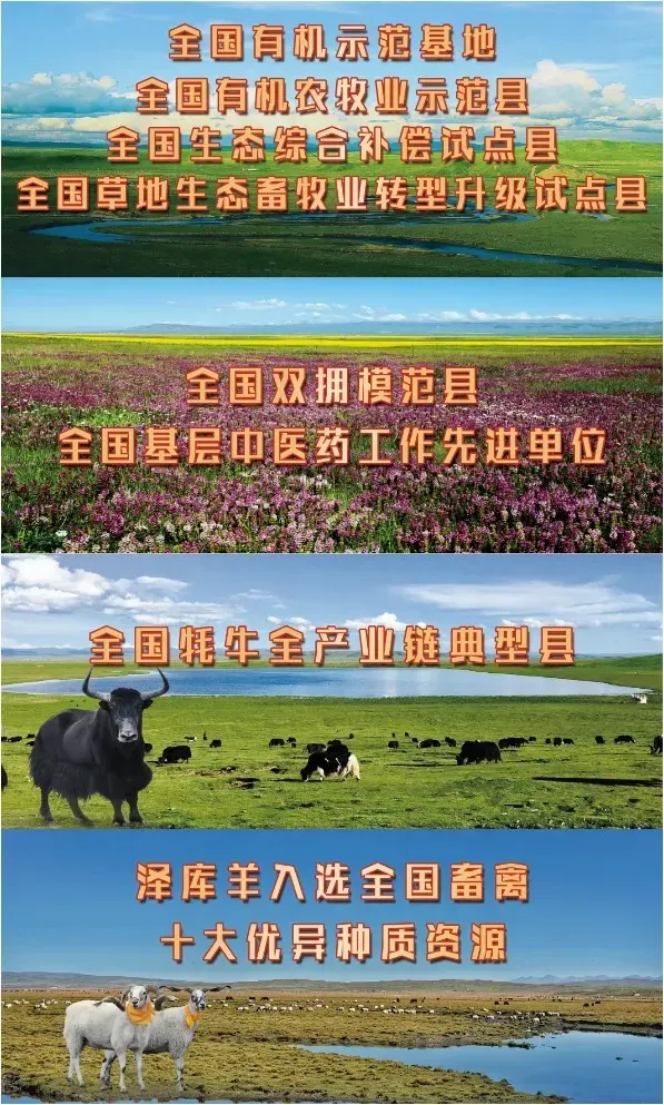 泽库县市场监督管理局举办食品安全全链条监管集中培训班