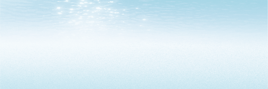 乐从钢铁市场行情(2026.4.17)