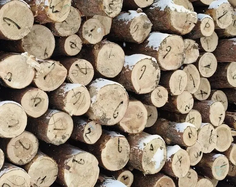 小木材撬动大市场 精河县木业企业产销两旺