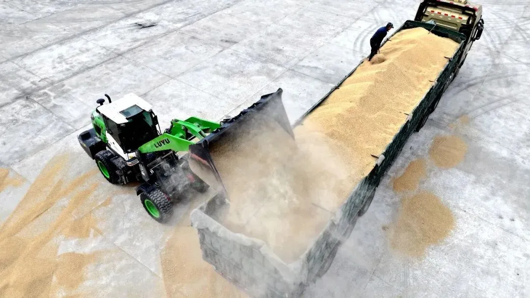 【营销新视野】新华分公司:深耕优质粮源 拓宽产销渠道