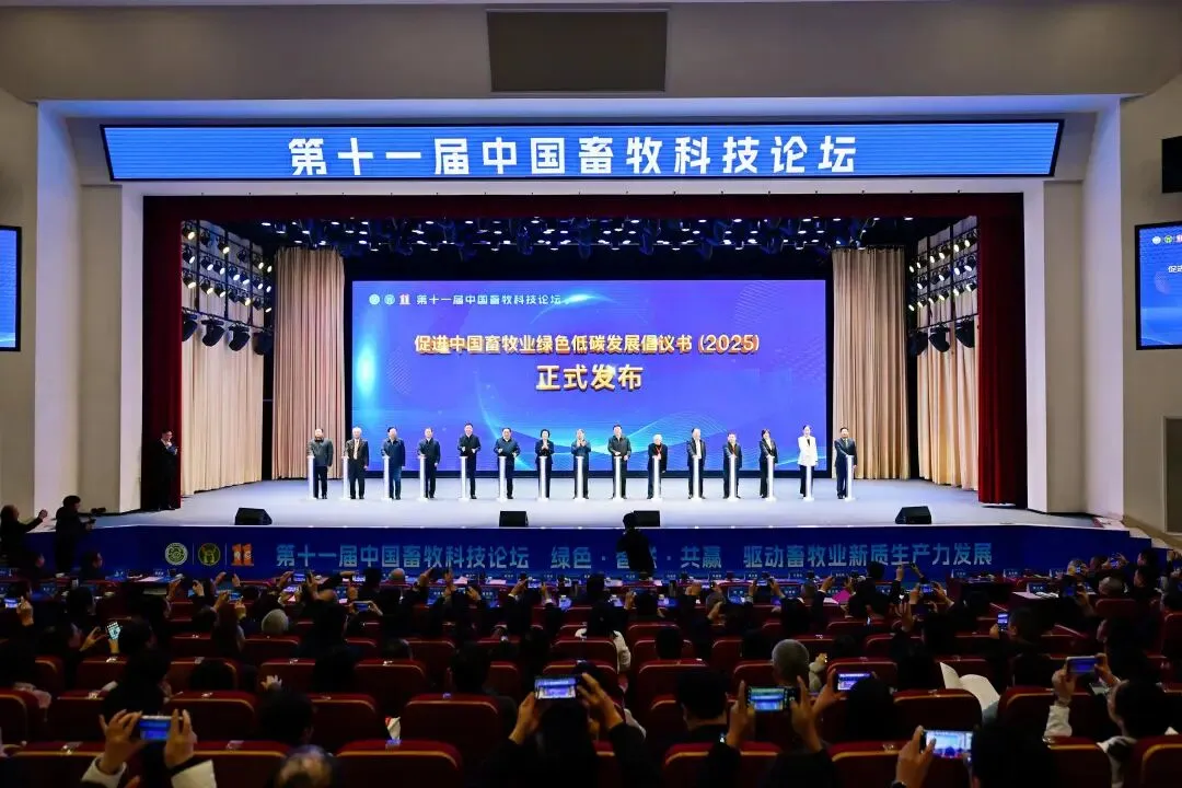 媒·镜 | 荣昌的精准营销:网红城市可以复制吗?