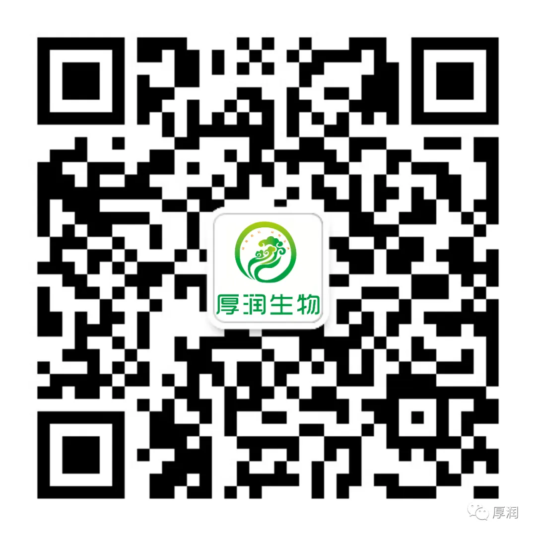 智启新程 向光而行|厚润生物 AI 获客实战赋能培训圆满落幕