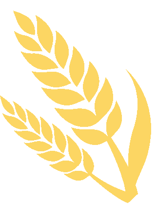 师市市场监督管理局开展计量器具专项检查