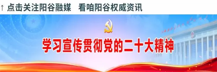 阳谷县全民阅读活动周“图书跳蚤市场”顺利开集