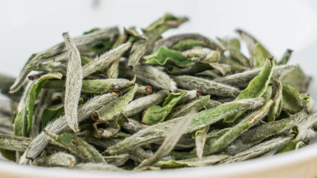 市场追捧的“日晒茶”到底是不是智商税?科学研究为你揭秘!