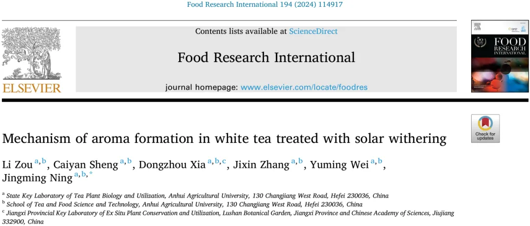 市场追捧的“日晒茶”到底是不是智商税?科学研究为你揭秘!