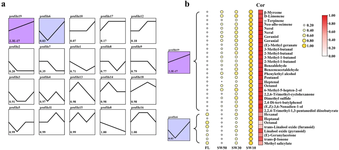市场追捧的“日晒茶”到底是不是智商税?科学研究为你揭秘!