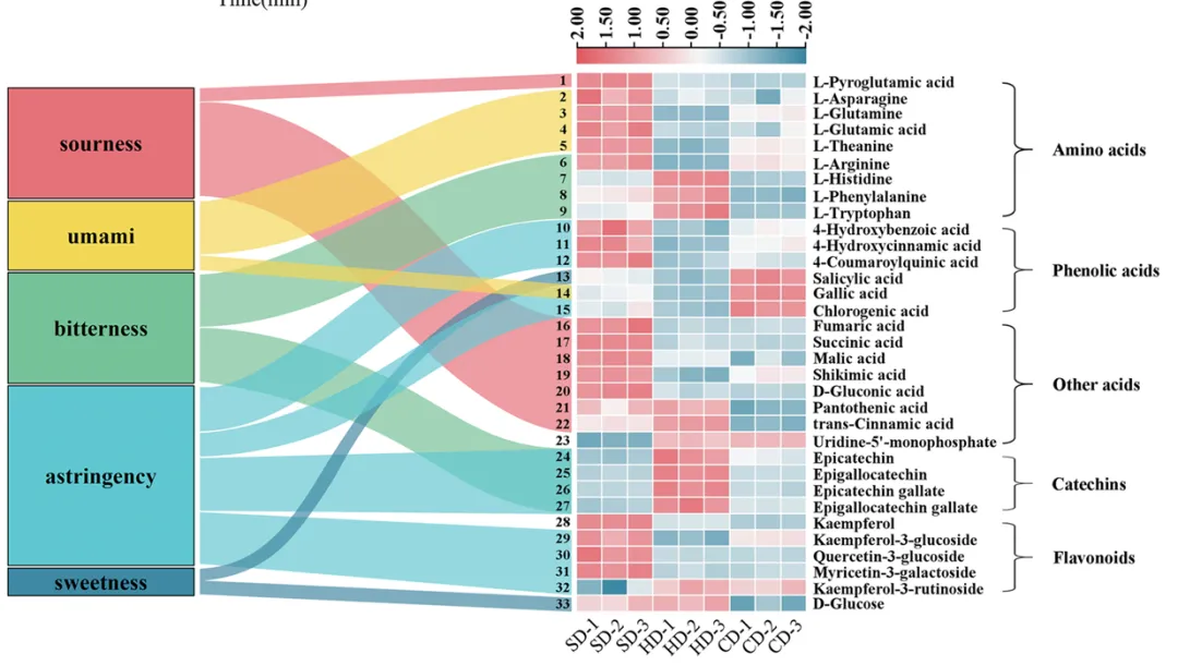 市场追捧的“日晒茶”到底是不是智商税?科学研究为你揭秘!