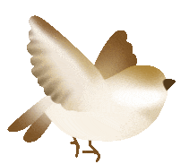 市场追捧的“日晒茶”到底是不是智商税?科学研究为你揭秘!