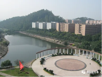 高薪专业:计算机科学与技术本科专业