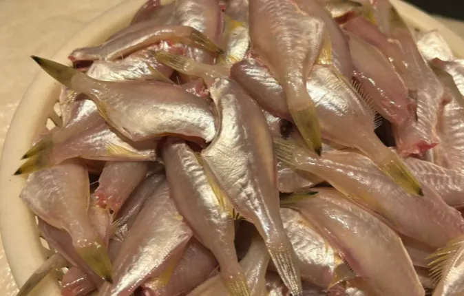 市场上这3种鱼,可能,现在是无法人工养殖的,都是野生鱼,价格便宜营养高!