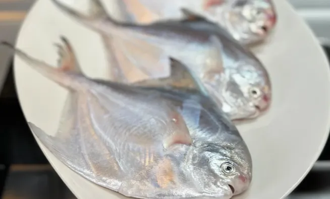 市场上这3种鱼,可能,现在是无法人工养殖的,都是野生鱼,价格便宜营养高!