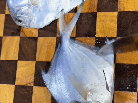 市场上这3种鱼,可能,现在是无法人工养殖的,都是野生鱼,价格便宜营养高!