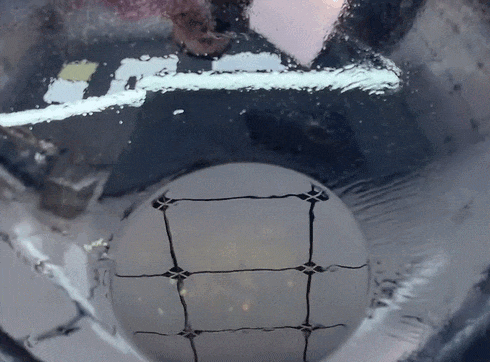 市场上这3种鱼,可能,现在是无法人工养殖的,都是野生鱼,价格便宜营养高!