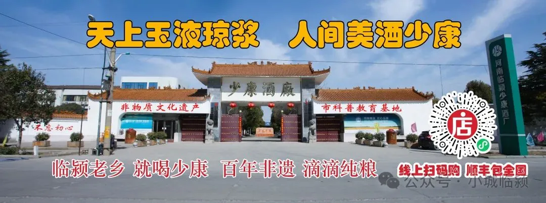 临颍这种跳蚤市场整的挺好