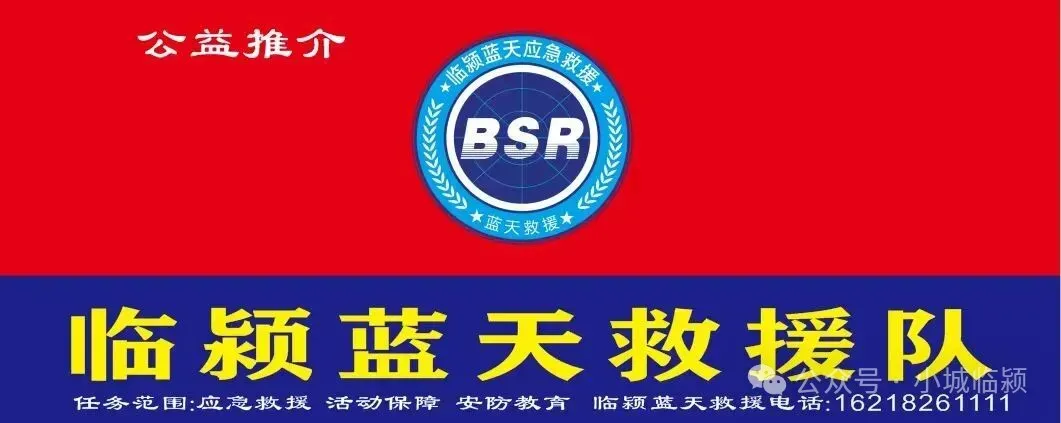 临颍这种跳蚤市场整的挺好