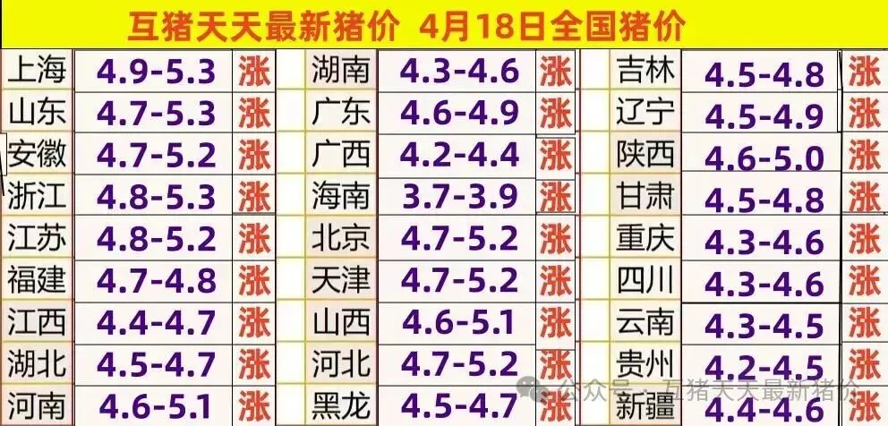 全国生猪市场价格汇总及行情简析