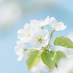 市场恢复涨势,基金收复失地:实证162期