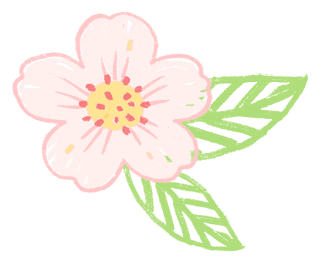 榜样引领 | 营销2402班——凝心共奋进,笃行铸辉煌