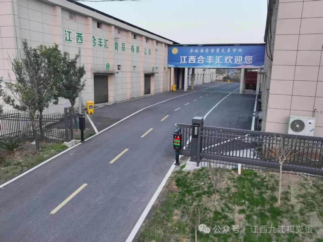 2026年4月19号:继续上探 刺激市场