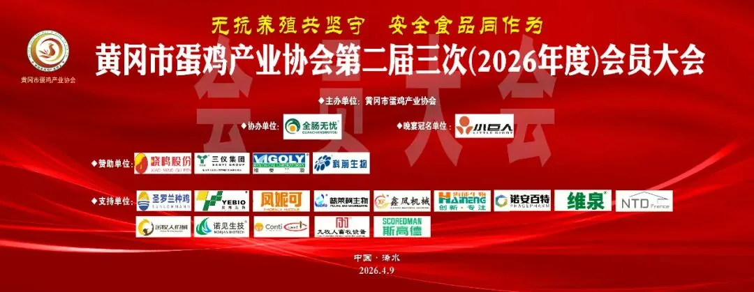 2026年4月19日黄冈市场行情