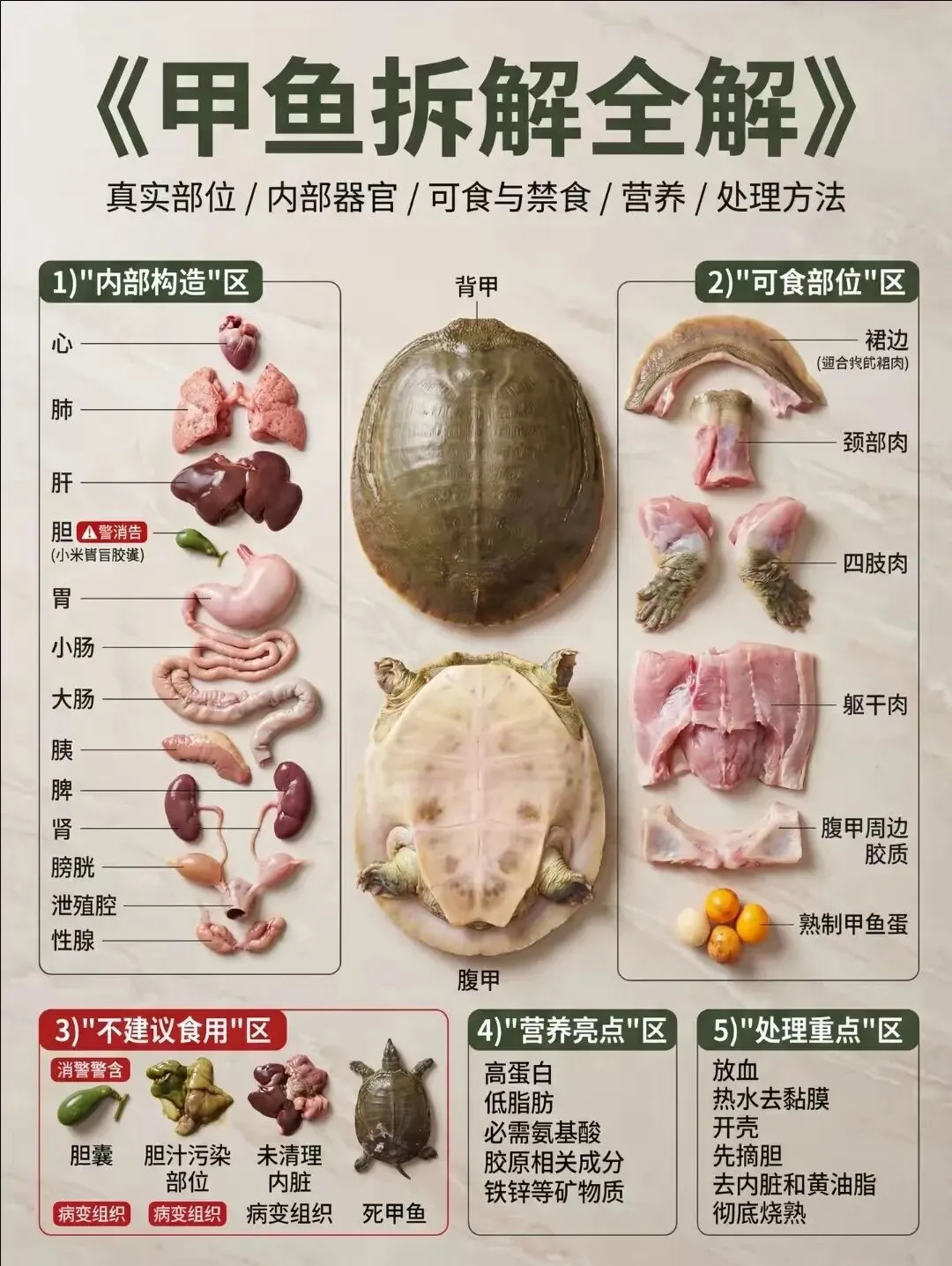 【甲鱼】明知有巨大销售潜力,很多超市却不经营,为啥?