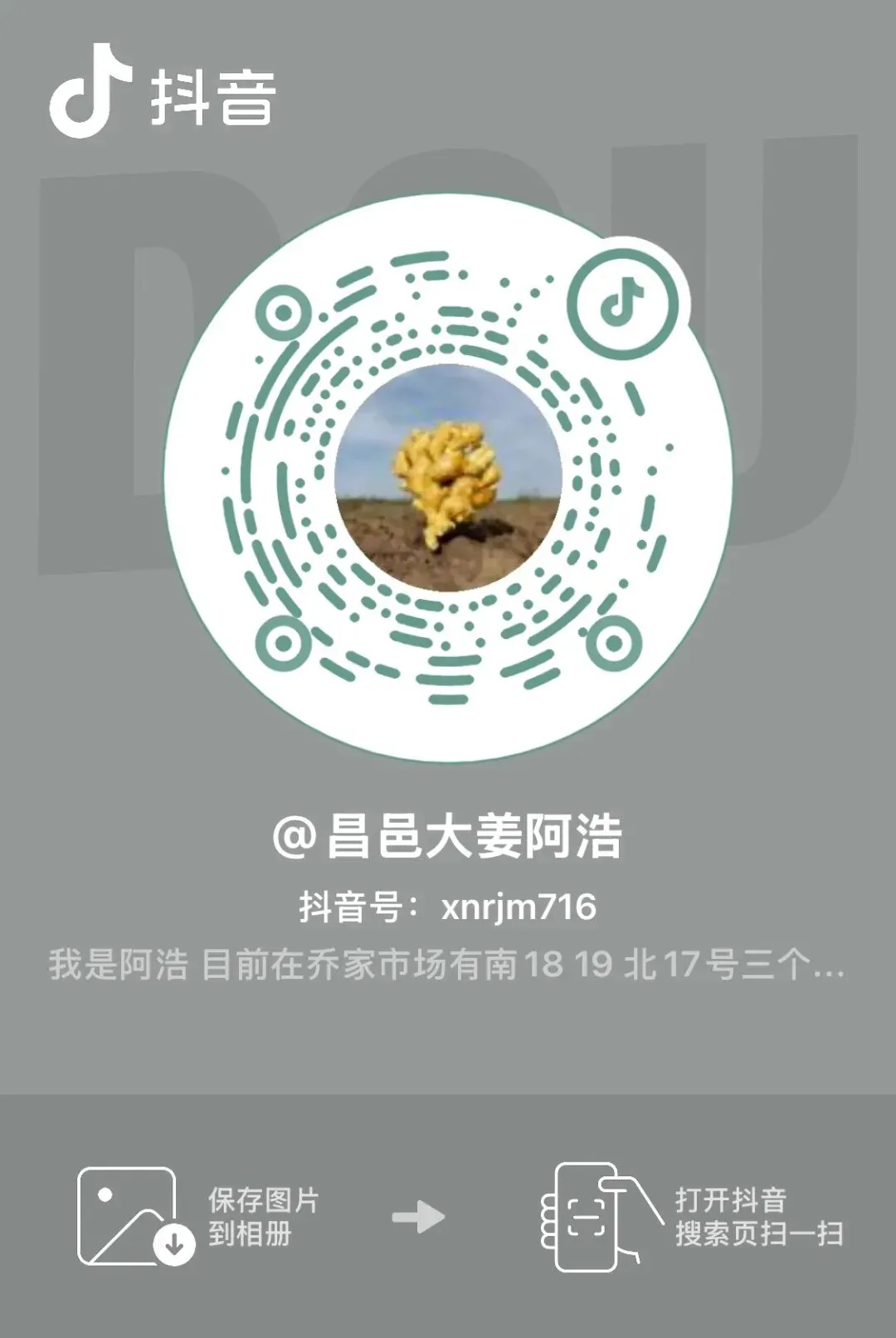 4月19日昌邑市场大姜行情|价格速报