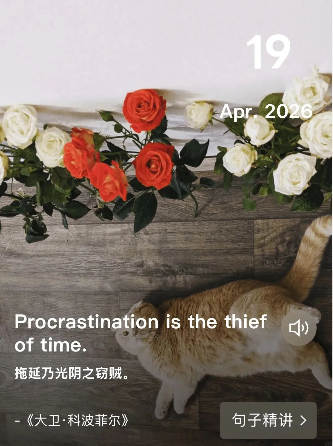 从有色金属视角看当前市场与开拓中亚市场的战略路径