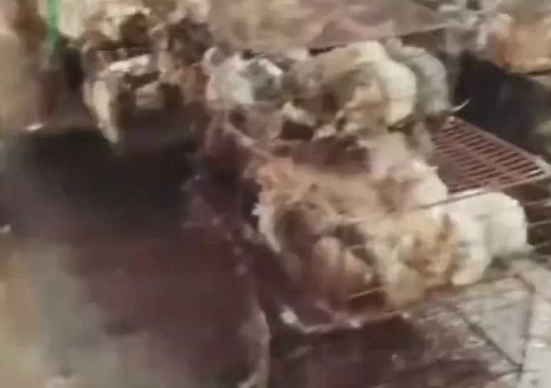 价格暴涨650%!这一市场被引爆 | 近期出现这些症状别硬扛→【4月19日周日 新闻速览一分钟】