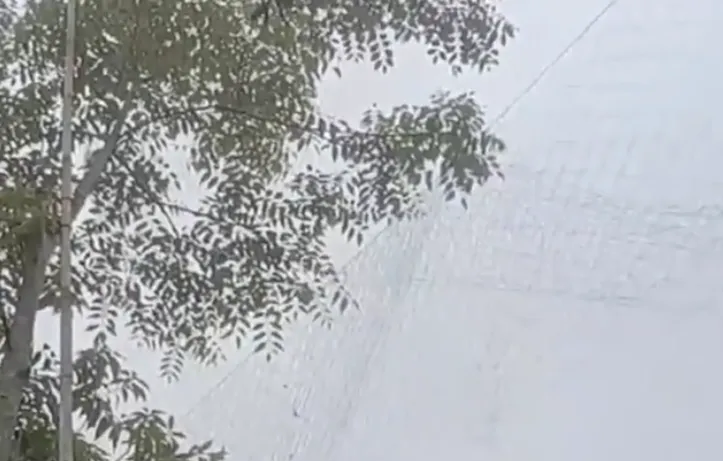 价格暴涨650%!这一市场被引爆 | 近期出现这些症状别硬扛→【4月19日周日 新闻速览一分钟】