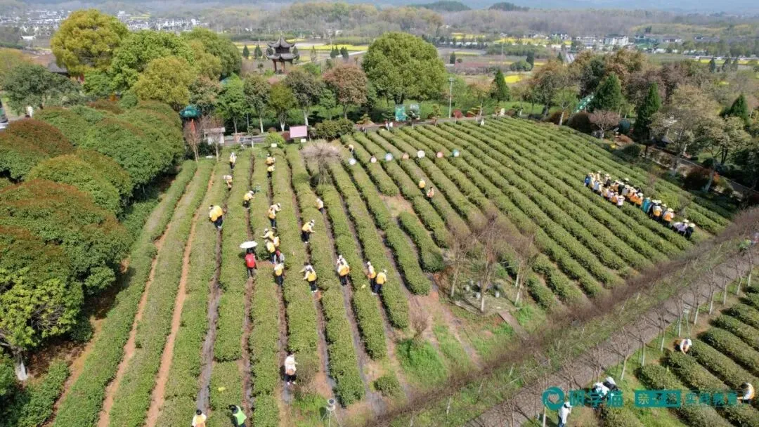 研学游市场“降温”了?3个月接待各类研学团队72批次!