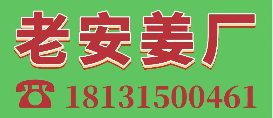 04月19日冀东生姜交易市场生姜参考价格