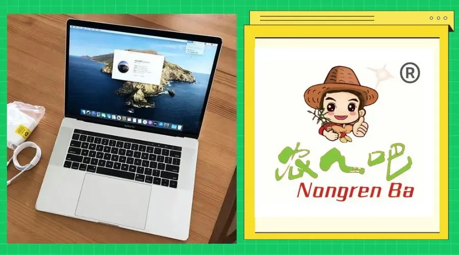 04月19日冀东生姜交易市场生姜参考价格