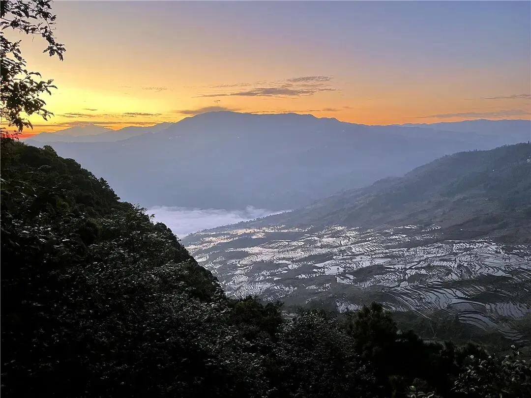 黄金的幻象:别让市场情绪成为现代人的精神鸦片