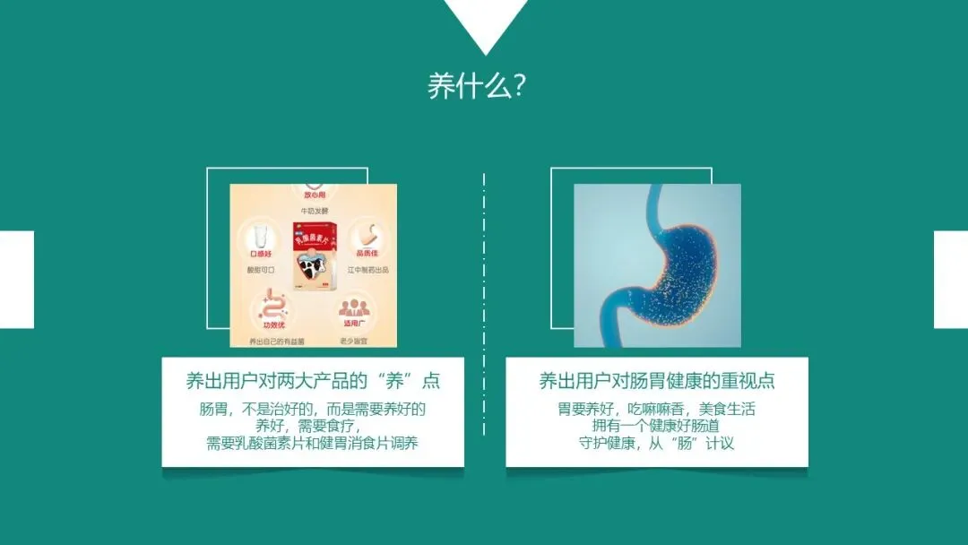 乳酸菌素片&健胃消食片双品抖音营销策略规划方案