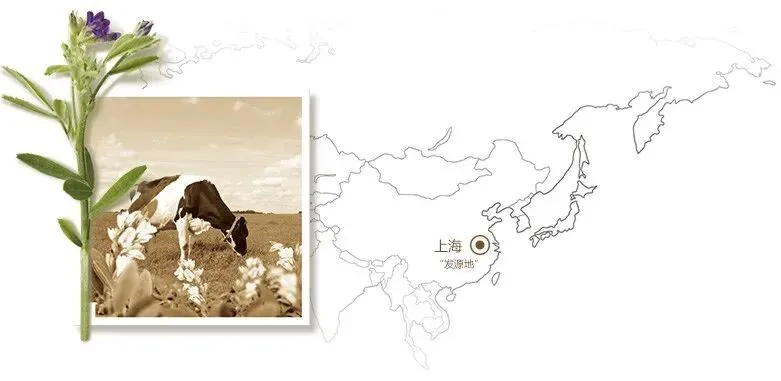 不靠网红营销,安利以 1000 + 全球专利筑牢品牌长青基石