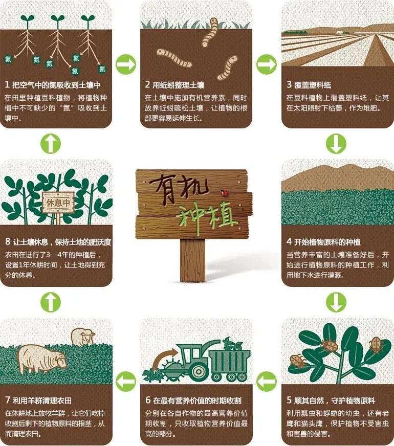 不靠网红营销,安利以 1000 + 全球专利筑牢品牌长青基石