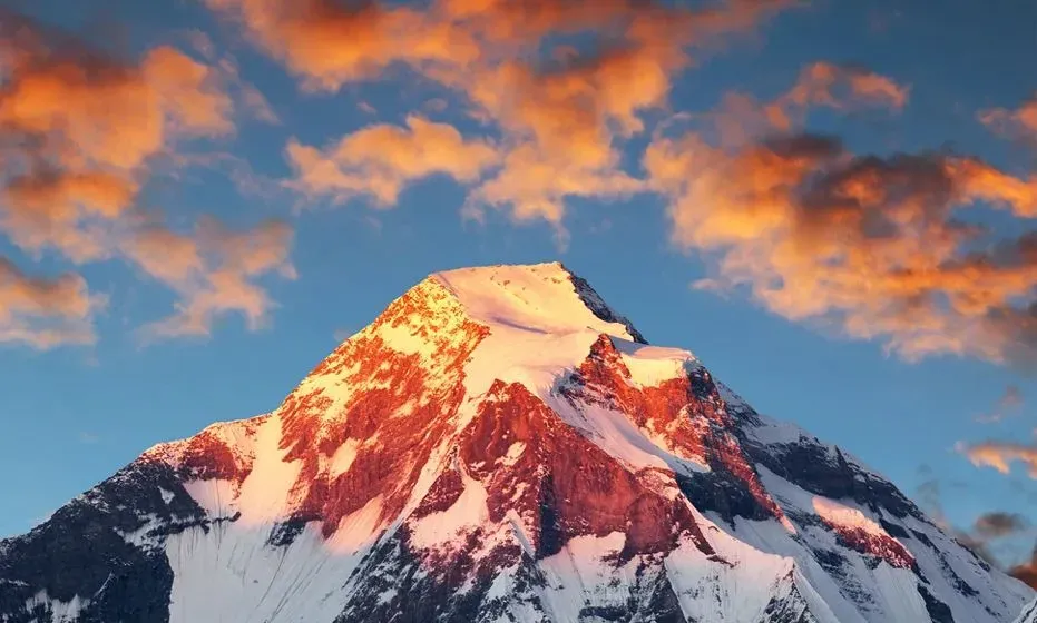 中国零食市场:从价格战到价值战的山头重构