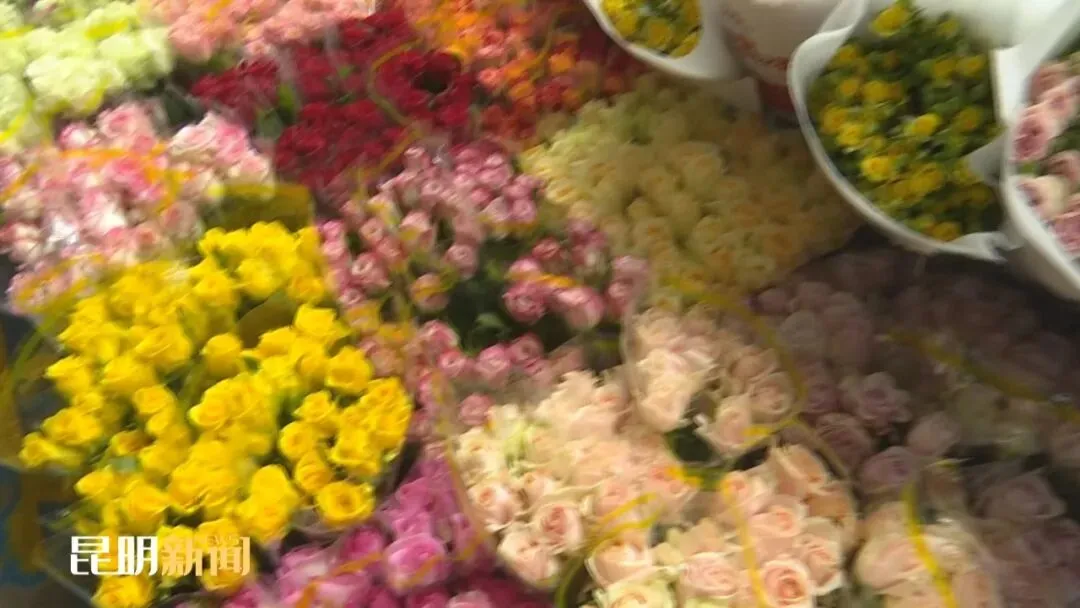产业高地 实力春城丨一季度斗南花卉市场交易总量约17.7亿枝 交易总额约22.22亿元