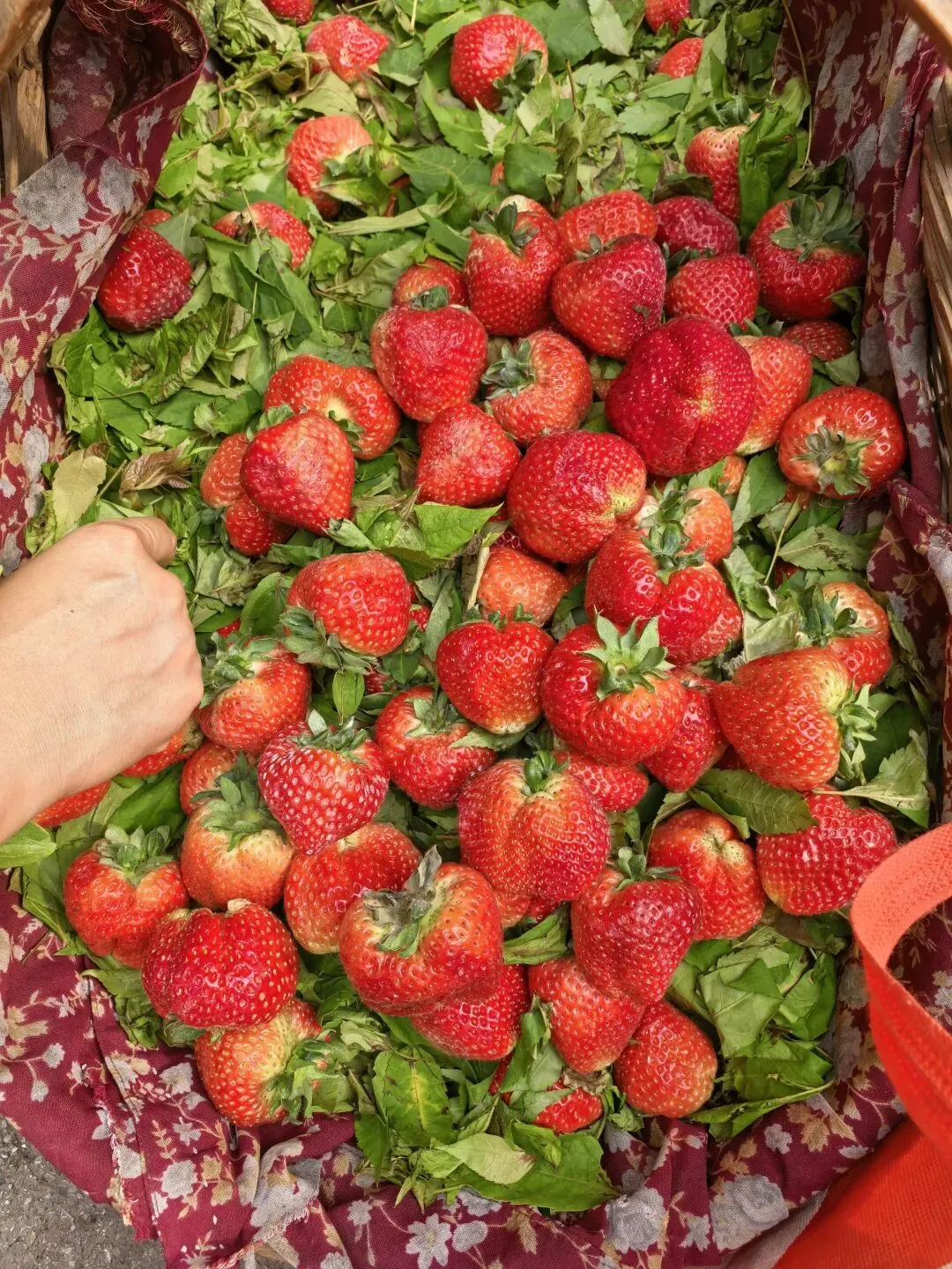 逛一逛农贸市场,才懂最治愈的烟火气