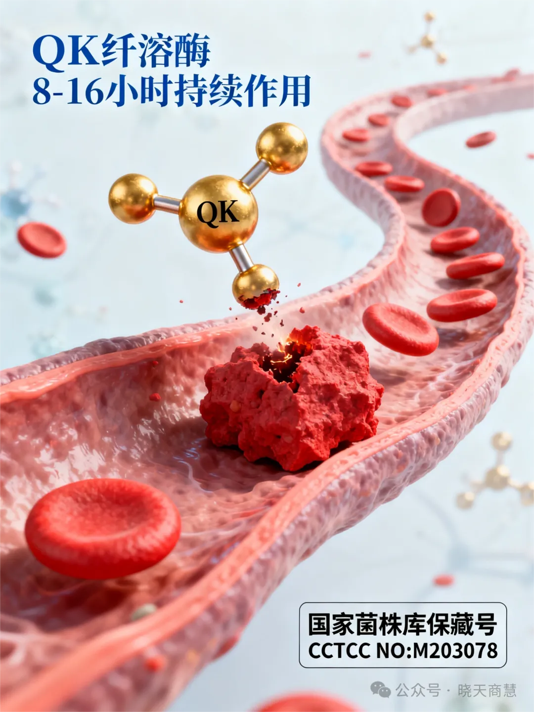 中国保健品市场 “溶栓” 赛道的创始者,靶向溶栓的定义者 ——QK 纤溶酶