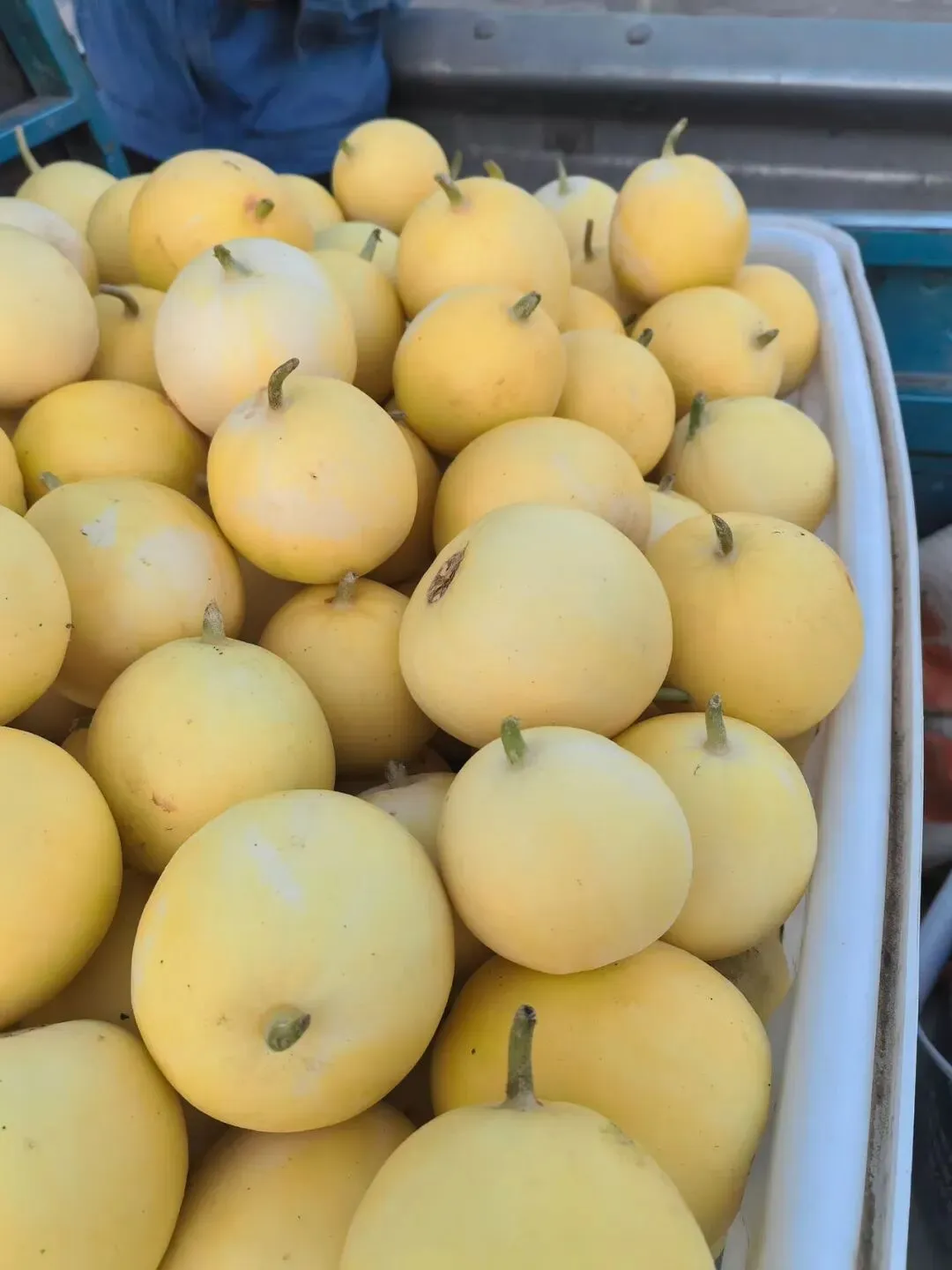 国内最大的甜瓜交易市场火爆