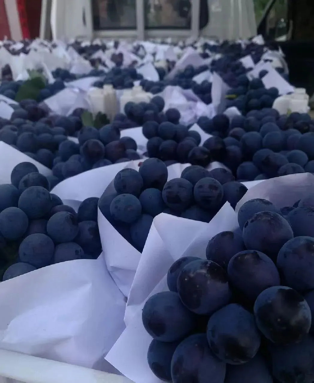 国内最大的甜瓜交易市场火爆