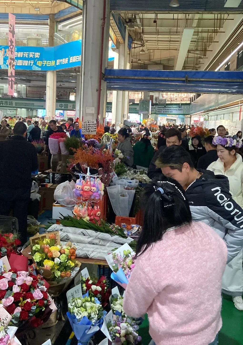 去斗南湿地和花卉市场闲逛,在昆明我学会了放松