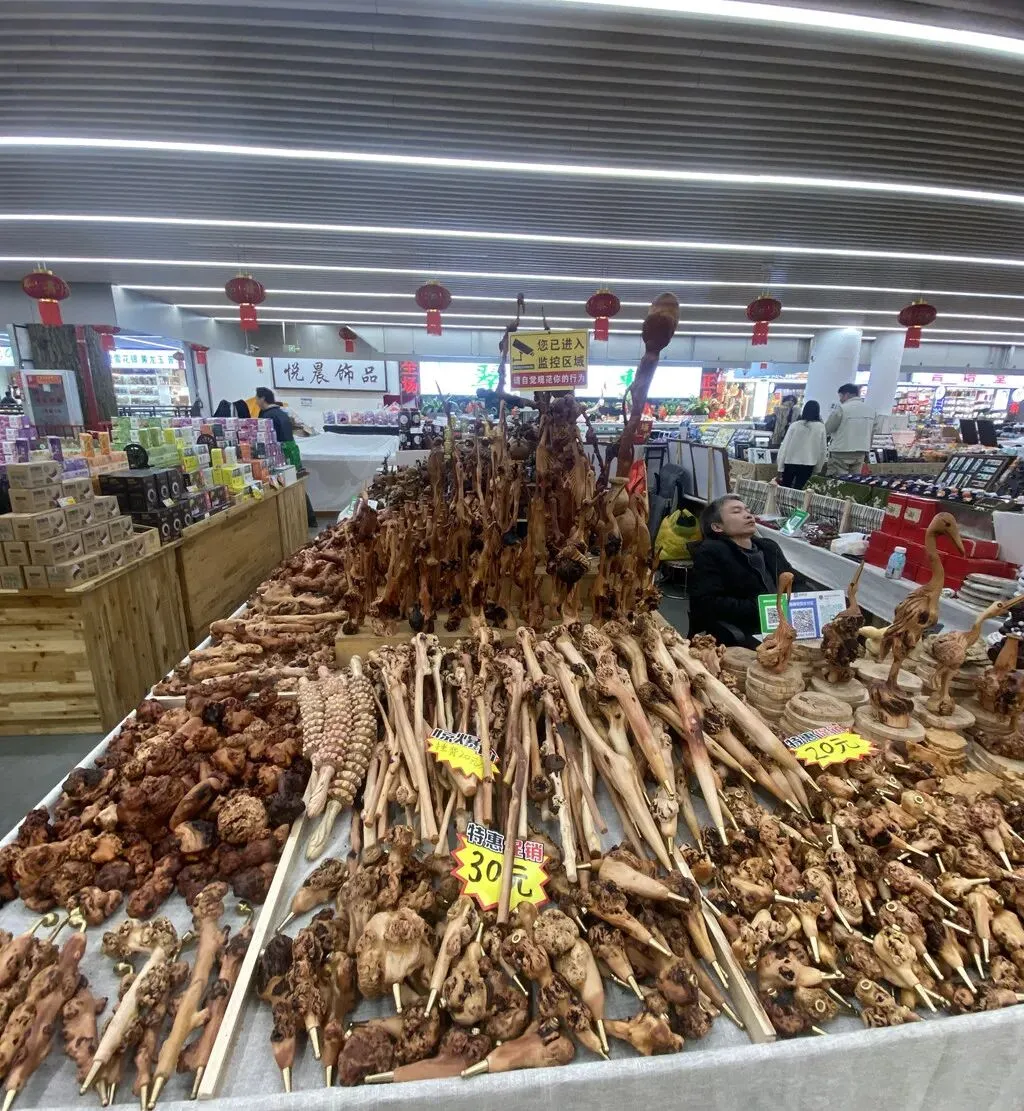 去斗南湿地和花卉市场闲逛,在昆明我学会了放松